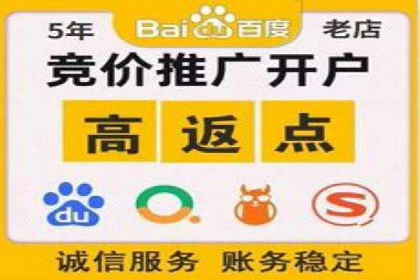 成功案例分享：SEM竞价代运营策略解析